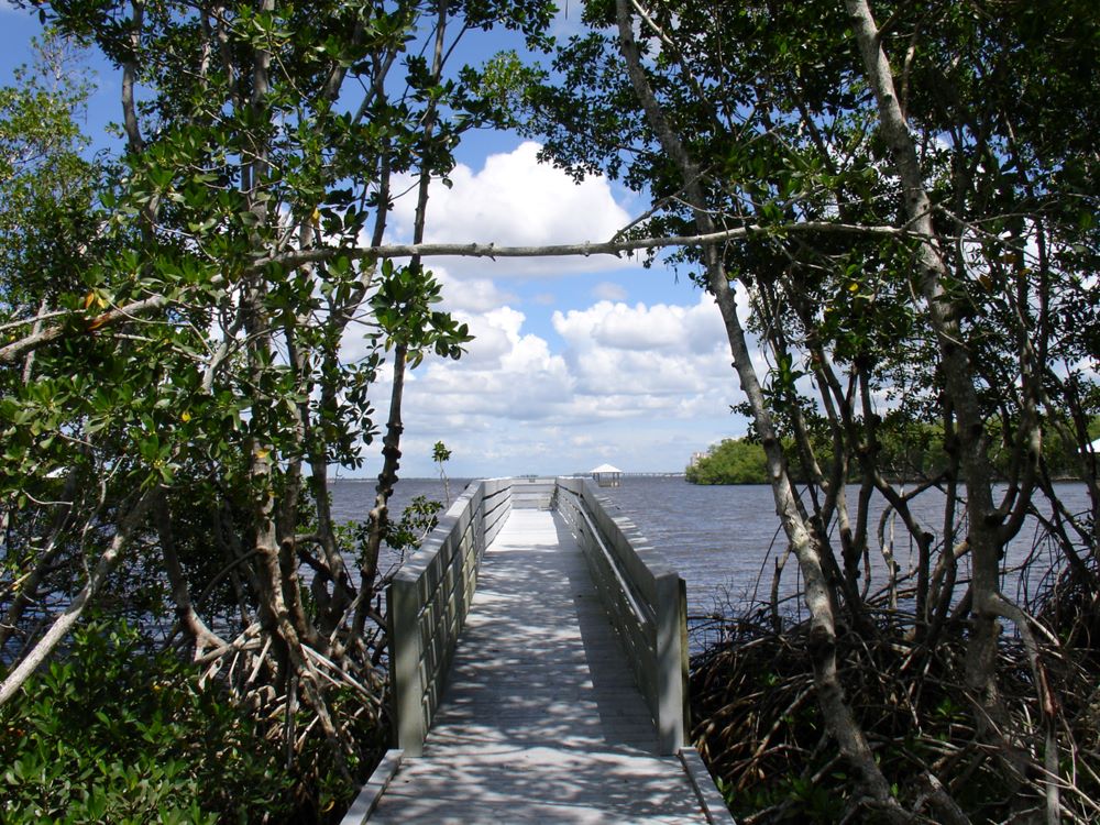 Eco Park - end of boardwalk